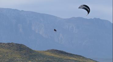 CORE International Pro Team - Giel Vlugt