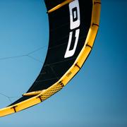 Core Pace Pro + Fixed Bridle